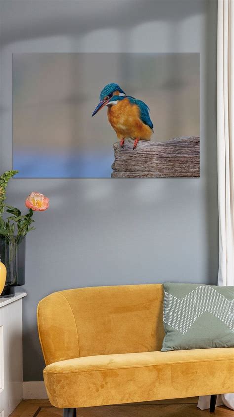 A Bird Sitting On Top Of A Wooden Bench