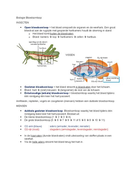 Biologie Bloedsomloop Samenvatting Biologie Bloedsomloop Insecten