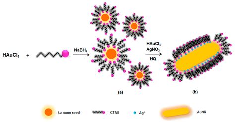 Applied Sciences Free Full Text Hydroquinone Based Fabrication Of Gold Nanorods With A High