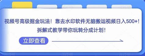 视频号高级掘金玩法，靠去水印软件无脑搬运视频日入500 ，拆解式教学带你玩转分成计划【揭秘】 项目集市