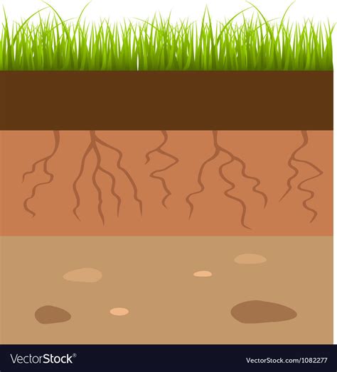 Soil Layers Royalty Free Vector Image Vectorstock