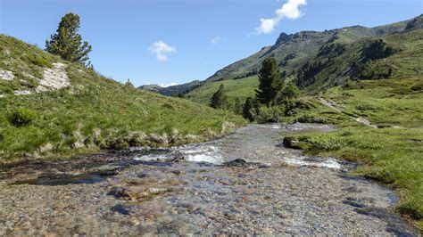 Ausflugsziel Rèche - intakte Rarität | WWF Schweiz