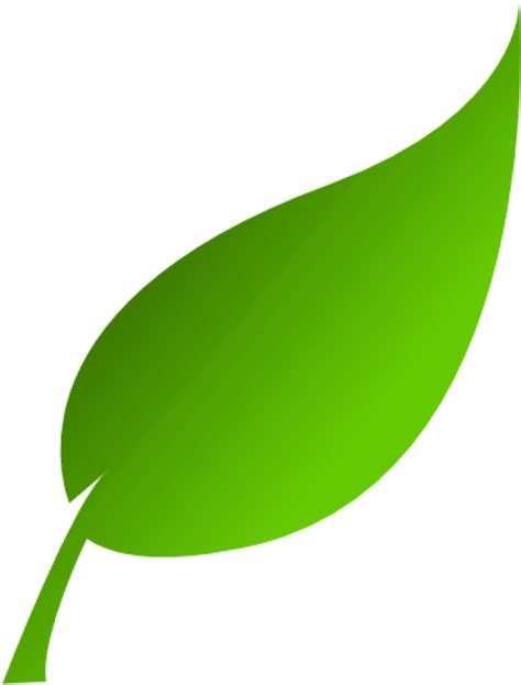 Download Green Leaf Graphic | Wallpapers.com