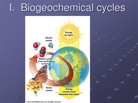 Ppt I Biogeochemical Cycles Powerpoint Presentation Free Download