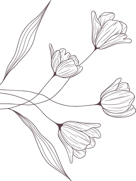 romantic flower painting | Flower line drawings, Flower drawing, Easy ...