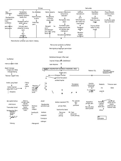 Pathway Rds Pdf