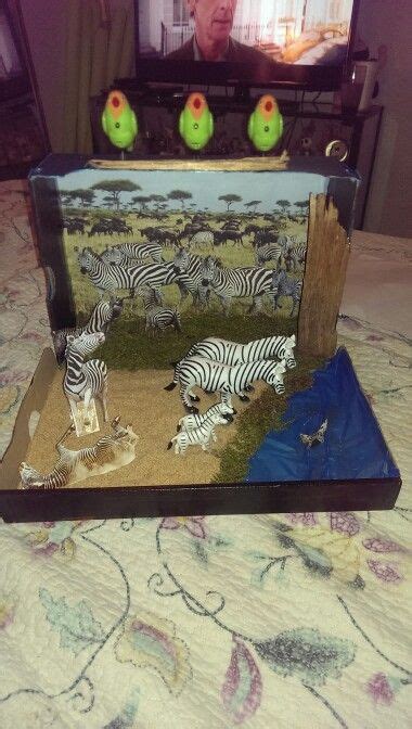 Zebra Habitat Diorama