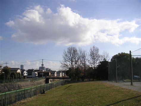 konica minolta dimage xg  rvintagedigitalcameras