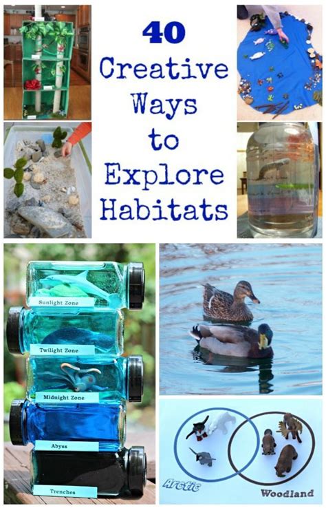 40 Animal Habitat Crafts & Science Project Ideas | Habitats projects ...