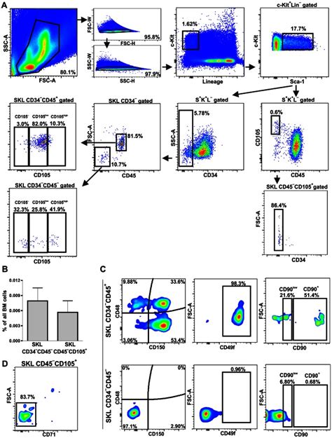 A Flow Cytometry Analysis Evidenced Skl Cd Cd And Skl
