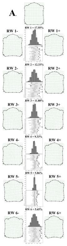 Summary Of The Landmark Based Geometric Morphometric Analysis Showing