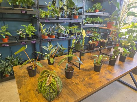 Willow+Pine Boutique added a new photo. - Willow+Pine Boutique