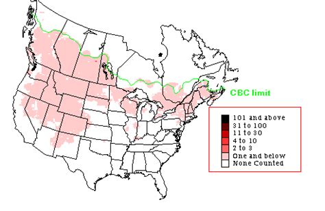 Northern Goshawk - Early Winter Range Map