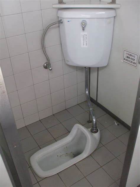 Upskirt Toilet Japan Telegraph