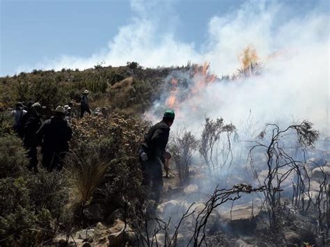 Arequipa incendio forestal arrasa más de mil hectáreas y causa graves