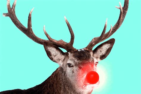 Rudolph The Red Nosed Reindeer Tickets St December Des Moines