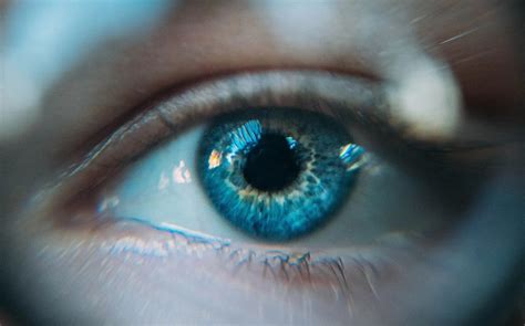 Are Light Coloured Eyes More Sensitive to Blue Light | BlockBlueLight