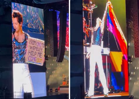 Youre Officially Gay My Boy Harry Styles Helps A Fan Come Out At Wembley Concert