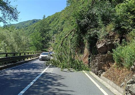 Trafic blocat pe Valea Oltului în Lazaret din cauza unui copac care a