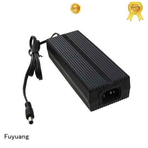 High Quality Li Ion Battery Charger 12v For Electric Vehicles Fuyuang