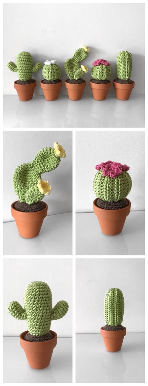 Amazing Crochet Cactus Patterns Crochet Kingdom