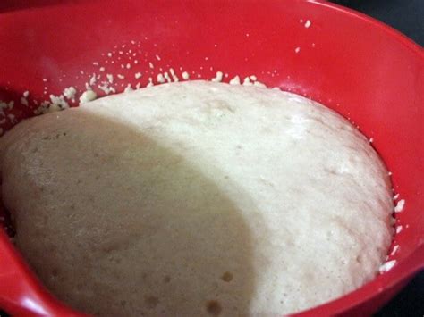 Yeast Bread Baking Tips Part One | Restless Chipotle