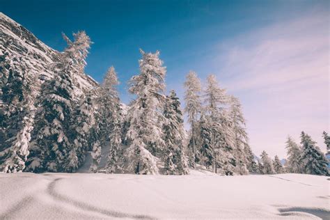 Alpine winter landscape stock photo. Image of bernina - 164994778