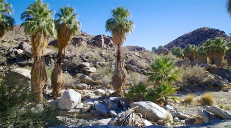 Visit Thousand Palms: Best of Thousand Palms Tourism | Expedia Travel Guide