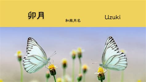 【知ると面白い和風月名】4月 卯月『うづき』 つぶあん＊ぶろぐ