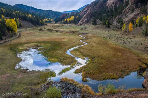 Photos of Colorado Fall Colors in Pike National Forest