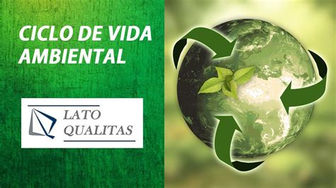 Ciclo De Vida Ambiental Youtube