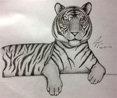 Easy Tiger Sketch At Explore Collection Of Easy