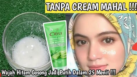 5 Manfaat Masker Lidah Buaya Untuk 50 Tahun Ke Atas Lengkap Dengan