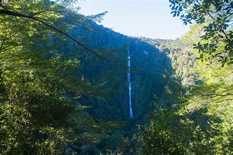 11 of the Best Waterfalls in Fiordland National Park - See the South ...