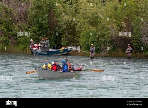 Kenai River Salmon Fishing Alaska Stock Photo Alamy