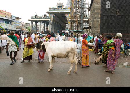 Scene At Arunachaleshwara Temple Dedicated To Lord Shiva Chola Period