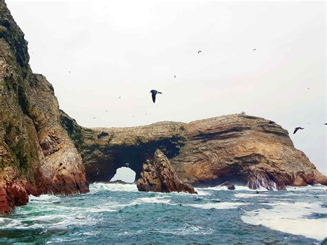 Cómo Visitar Islas Ballestas Y La Reserva Nacional De Paracas Banano