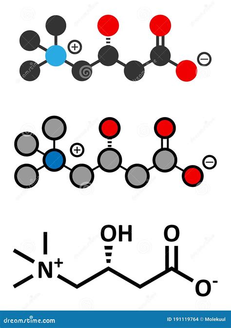 Carnitine Molecule Chemical Structure Often Found In Nutritional