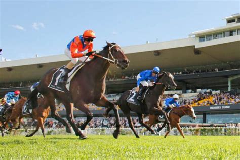 George Ryder Stakes Tips Odds Field Results Racenet