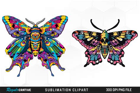 Watercolor Skull Moth Illustration Png Graphic By Regulrcrative