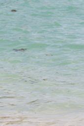 Tulisa Contostavlos Bikini Candids Bermuda Beach August 2014 CelebMafia