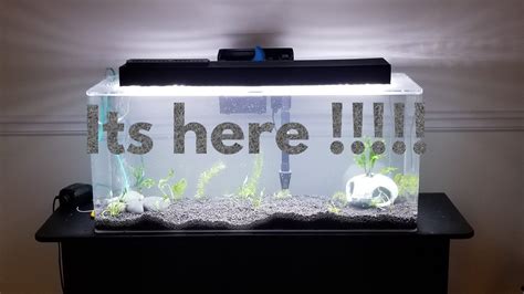 Seaclear Rectangular Show Clear Aquarium Combos 30 Gallons - Aquarium Views