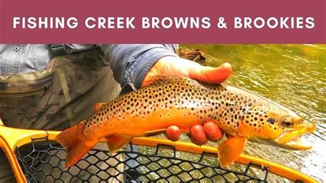 Diy Guide To Fly Fishing Big Fishing Creek In Pennsylvania Diy Fly