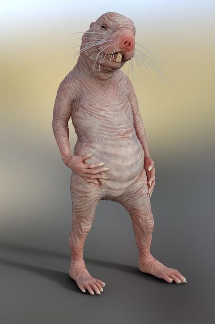 20 000 Free Boy Naked Boy Images Pixabay