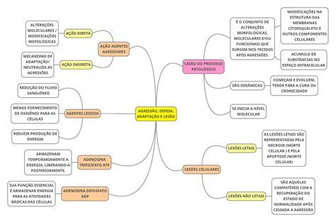 Mecanismo De Agress O E Defesa Librain