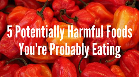 5 Potentially Harmful Foods You’re Probably Eating – Great Gut Prebiotics