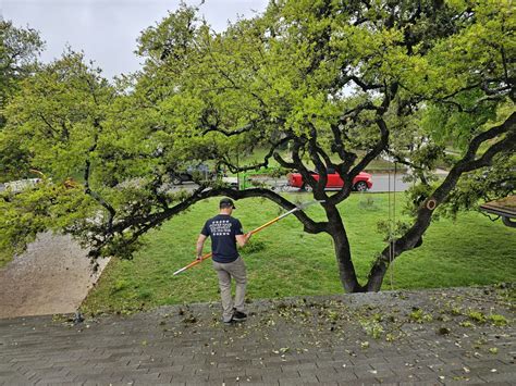 All Seasons Tree Care Professional Tree Services In San Marcos TX