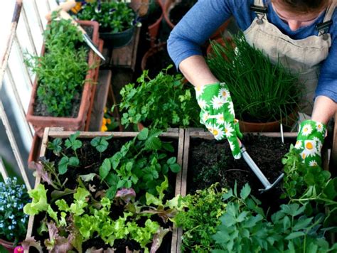 Giardini Condivisi E Orti Urbani Nuovi Modi Di Vivere Il Verde In