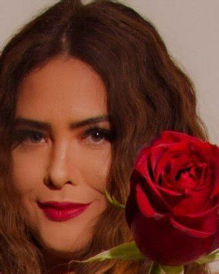 Geisy Arruda Nude Porn Pictures XXX Photos Sex Images Page PICTOA