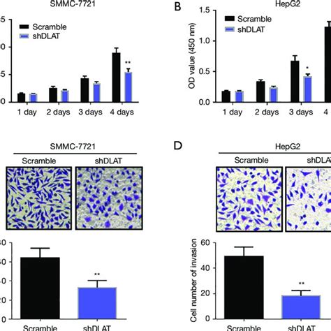 The Proliferation And Invasion Of Hepatoma Cells Were Significantly